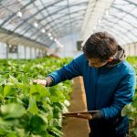 Mengenal Jurusan Agroteknologi Pertanian Di Negara Agraris